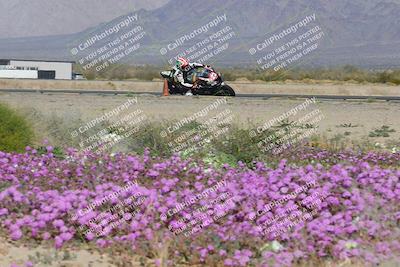 media/Feb-04-2023-SoCal Trackdays (Sat) [[8a776bf2c3]]/Turn 15 Inside Blooming (1050am)/